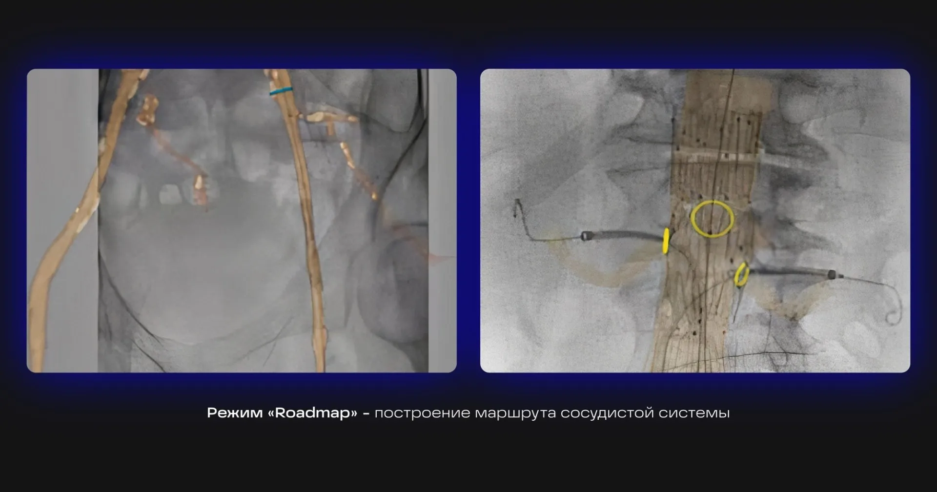 Клинические изображения_2.jpg