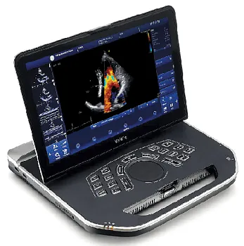 Ультразвуковая диагностическая система GE HealthCare Vivid iQ портативная